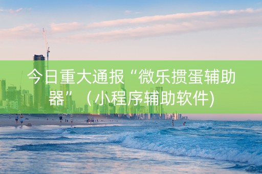 今日重大通报“微乐掼蛋辅助器”（小程序辅助软件)