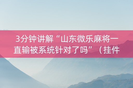 3分钟讲解“山东微乐麻将一直输被系统针对了吗”（挂件神器)