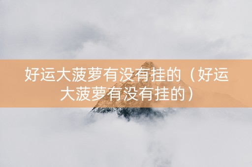 好运大菠萝有没有挂的（好运大菠萝有没有挂的）