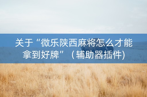 关于“微乐陕西麻将怎么才能拿到好牌”（辅助器插件)