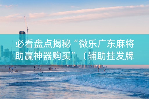 必看盘点揭秘“微乐广东麻将助赢神器购买”（辅助挂发牌规律)