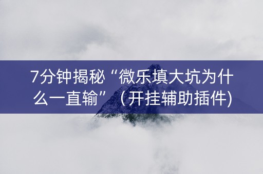 7分钟揭秘“微乐填大坑为什么一直输”（开挂辅助插件)