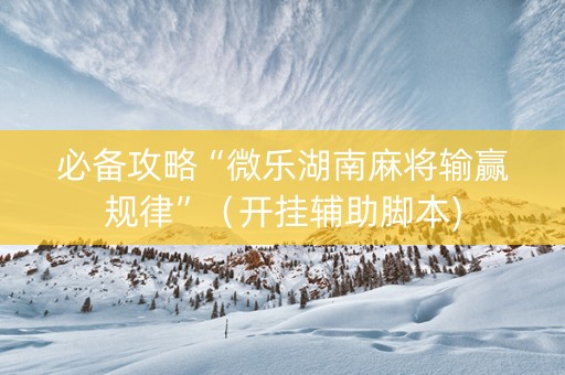 必备攻略“微乐湖南麻将输赢规律”（开挂辅助脚本)