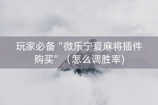 玩家必备“微乐宁夏麻将插件购买”（怎么调胜率)