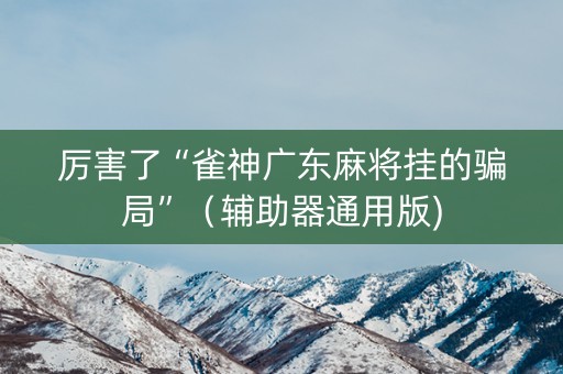 厉害了“雀神广东麻将挂的骗局”（辅助器通用版)
