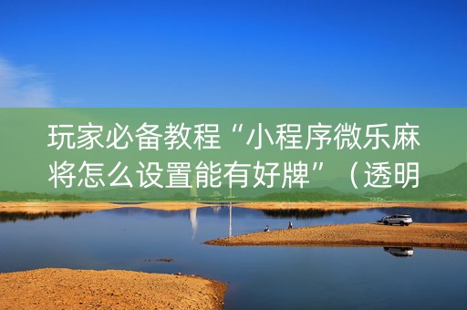 玩家必备教程“小程序微乐麻将怎么设置能有好牌”（透明挂辅助器)