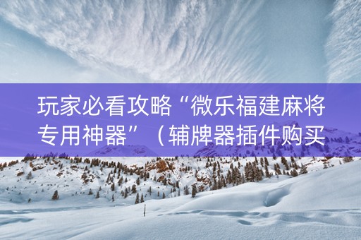 玩家必看攻略“微乐福建麻将专用神器”（辅牌器插件购买)