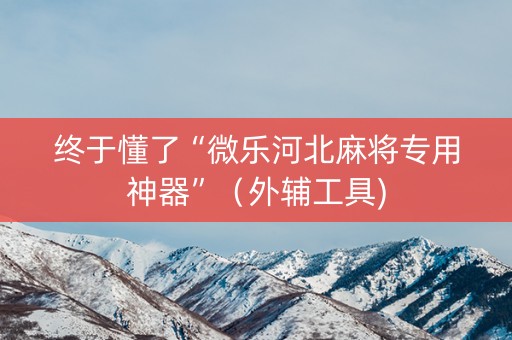 终于懂了“微乐河北麻将专用神器”（外辅工具)