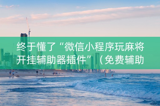 终于懂了“微信小程序玩麻将开挂辅助器插件”（免费辅助)
