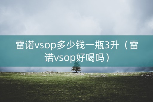 雷诺vsop多少钱一瓶3升（雷诺vsop好喝吗）