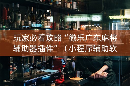 玩家必看攻略“微乐广东麻将辅助器插件”（小程序辅助软件)