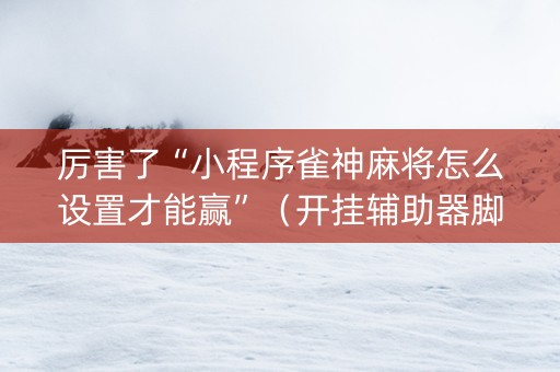 厉害了“小程序雀神麻将怎么设置才能赢”（开挂辅助器脚本)