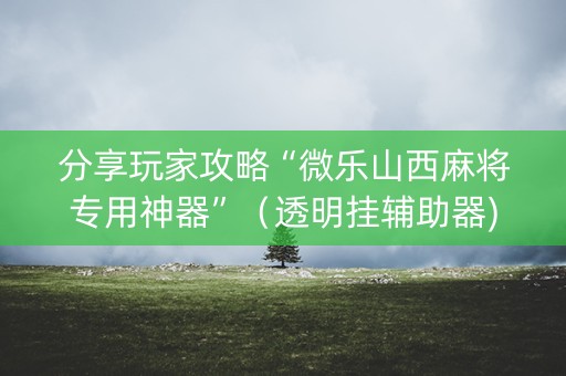 分享玩家攻略“微乐山西麻将专用神器”（透明挂辅助器)