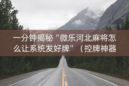 一分钟揭秘“微乐河北麻将怎么让系统发好牌”（控牌神器)
