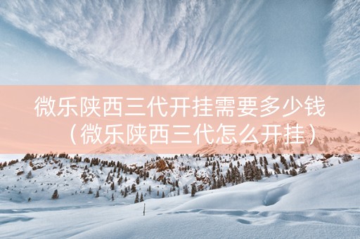 微乐陕西三代开挂需要多少钱（微乐陕西三代怎么开挂）