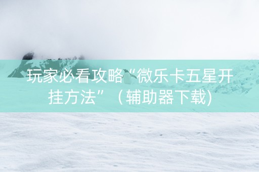 玩家必看攻略“微乐卡五星开挂方法”（辅助器下载)