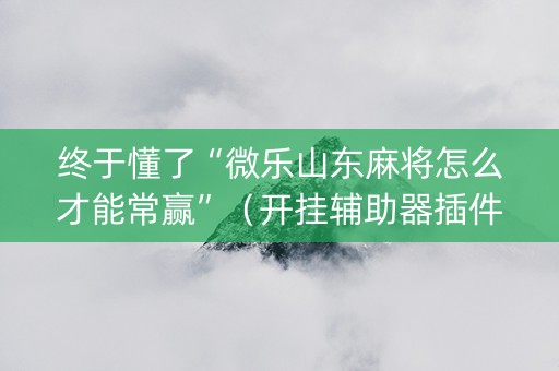 终于懂了“微乐山东麻将怎么才能常赢”（开挂辅助器插件)