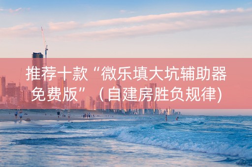 推荐十款“微乐填大坑辅助器免费版”（自建房胜负规律)