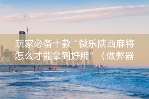 玩家必备十款“微乐陕西麻将怎么才能拿到好牌”（做弊器软件下载)