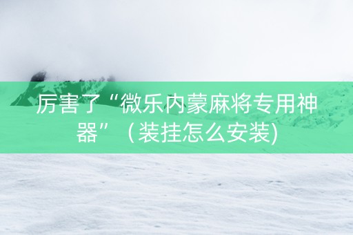 厉害了“微乐内蒙麻将专用神器”（装挂怎么安装)
