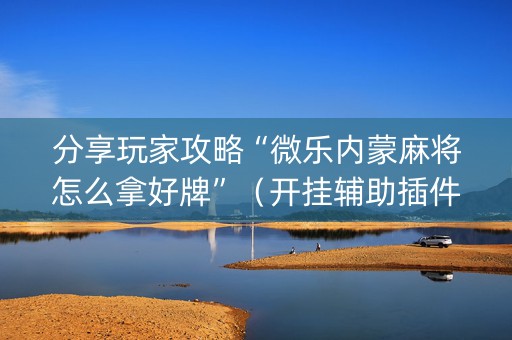 分享玩家攻略“微乐内蒙麻将怎么拿好牌”（开挂辅助插件)