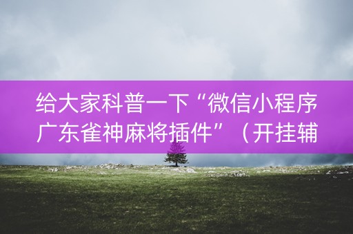 给大家科普一下“微信小程序广东雀神麻将插件”（开挂辅助脚本)
