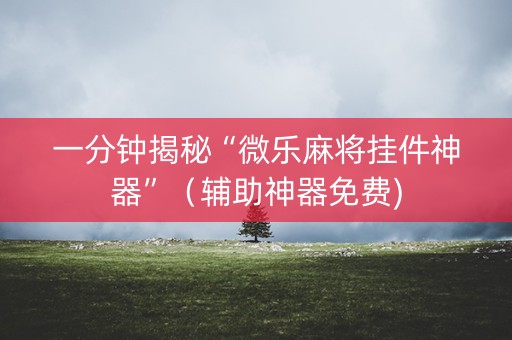 一分钟揭秘“微乐麻将挂件神器”（辅助神器免费)