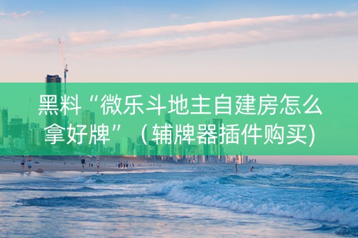 黑料“微乐斗地主自建房怎么拿好牌”（辅牌器插件购买)