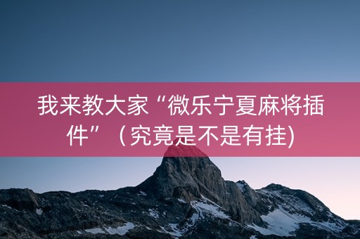 我来教大家“微乐宁夏麻将插件”（究竟是不是有挂)