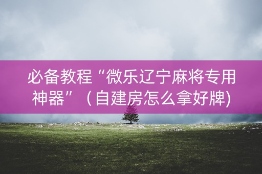 必备教程“微乐辽宁麻将专用神器”（自建房怎么拿好牌)
