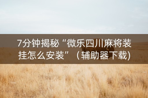 7分钟揭秘“微乐四川麻将装挂怎么安装”（辅助器下载)