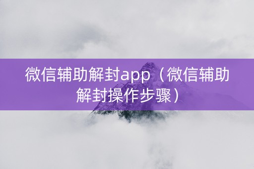 微信辅助解封app（微信辅助解封操作步骤）