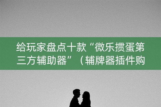 给玩家盘点十款“微乐掼蛋第三方辅助器”（辅牌器插件购买)