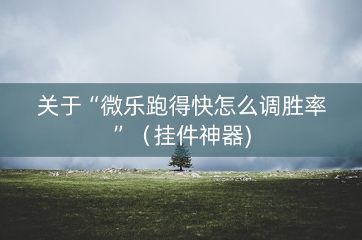 关于“微乐跑得快怎么调胜率”（挂件神器)