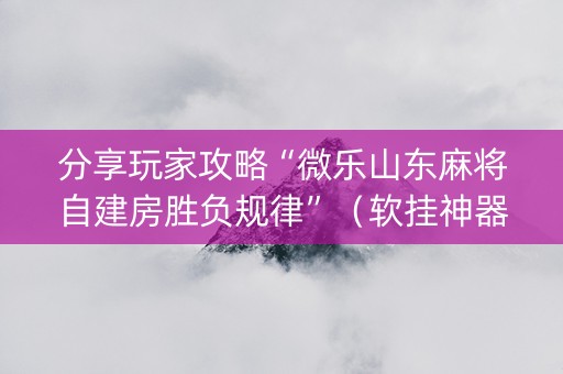 分享玩家攻略“微乐山东麻将自建房胜负规律”（软挂神器)