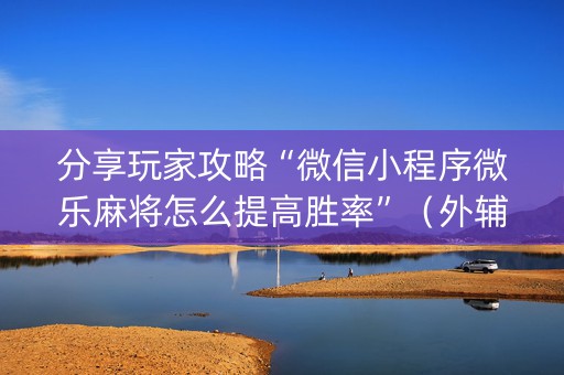 分享玩家攻略“微信小程序微乐麻将怎么提高胜率”（外辅工具)