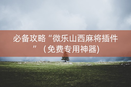 必备攻略“微乐山西麻将插件”（免费专用神器)