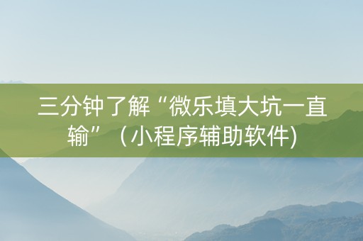 三分钟了解“微乐填大坑一直输”（小程序辅助软件)