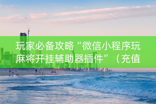 玩家必备攻略“微信小程序玩麻将开挂辅助器插件”（充值会提高胜率么)