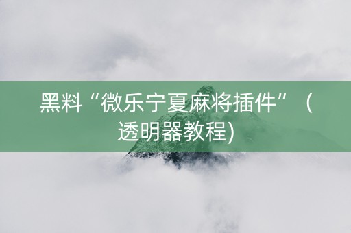 黑料“微乐宁夏麻将插件”（透明器教程)