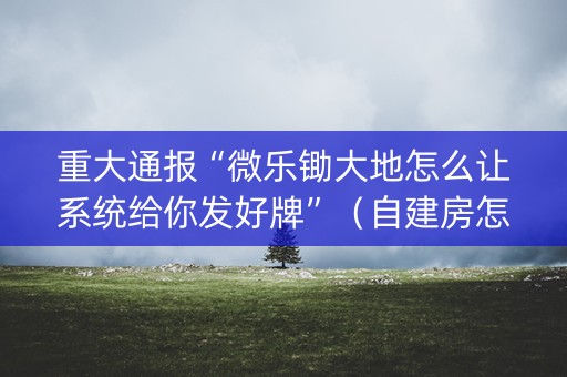 重大通报“微乐锄大地怎么让系统给你发好牌”（自建房怎么赢)