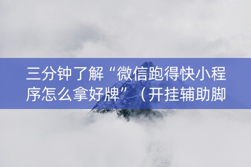 三分钟了解“微信跑得快小程序怎么拿好牌”（开挂辅助脚本)