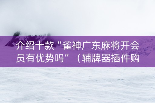 介绍十款“雀神广东麻将开会员有优势吗”（辅牌器插件购买)