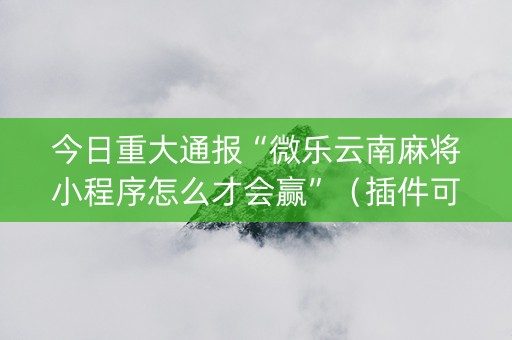 今日重大通报“微乐云南麻将小程序怎么才会赢”（插件可信吗)