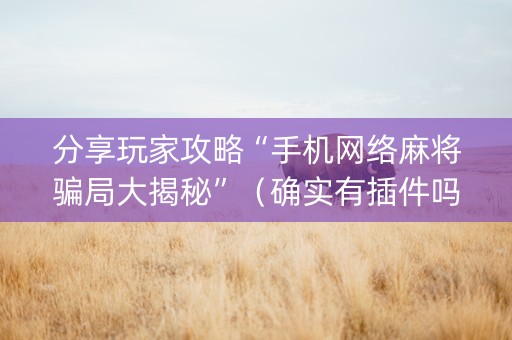 分享玩家攻略“手机网络麻将骗局大揭秘”（确实有插件吗)