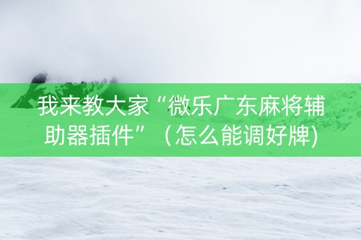 我来教大家“微乐广东麻将辅助器插件”（怎么能调好牌)