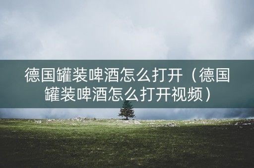 德国罐装啤酒怎么打开（德国罐装啤酒怎么打开视频）
