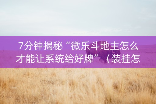 7分钟揭秘“微乐斗地主怎么才能让系统给好牌”（装挂怎么安装)