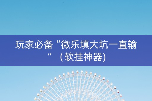 玩家必备“微乐填大坑一直输”（软挂神器)