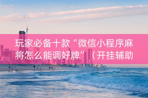 玩家必备十款“微信小程序麻将怎么能调好牌”（开挂辅助器脚本)